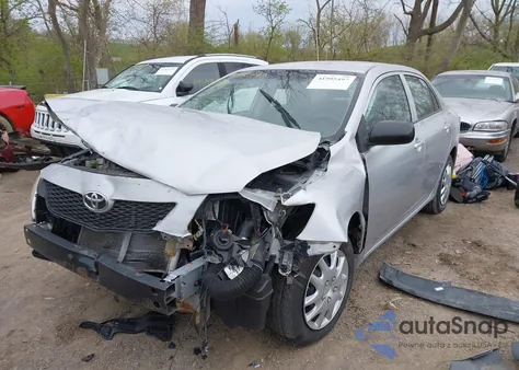 2010 Toyota Corolla из США, поврежденный, VIN 2T1BU4EE0AC365343